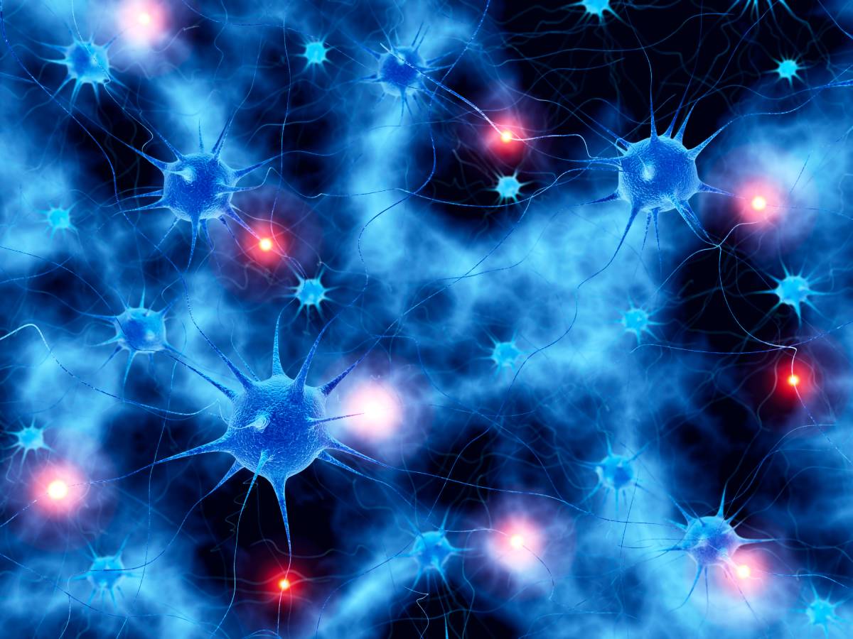 Anesthesia on the Brain: Waking the Brain Post-Surgery