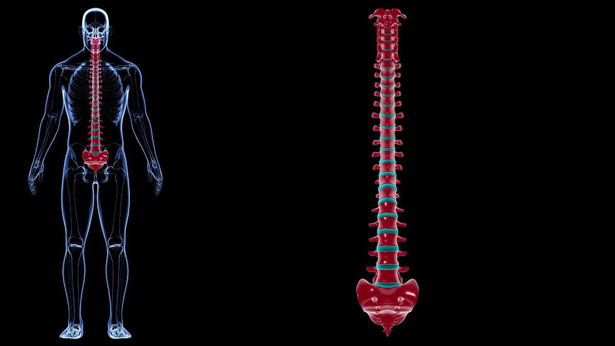 Spinal Cord Stimulators Across the US